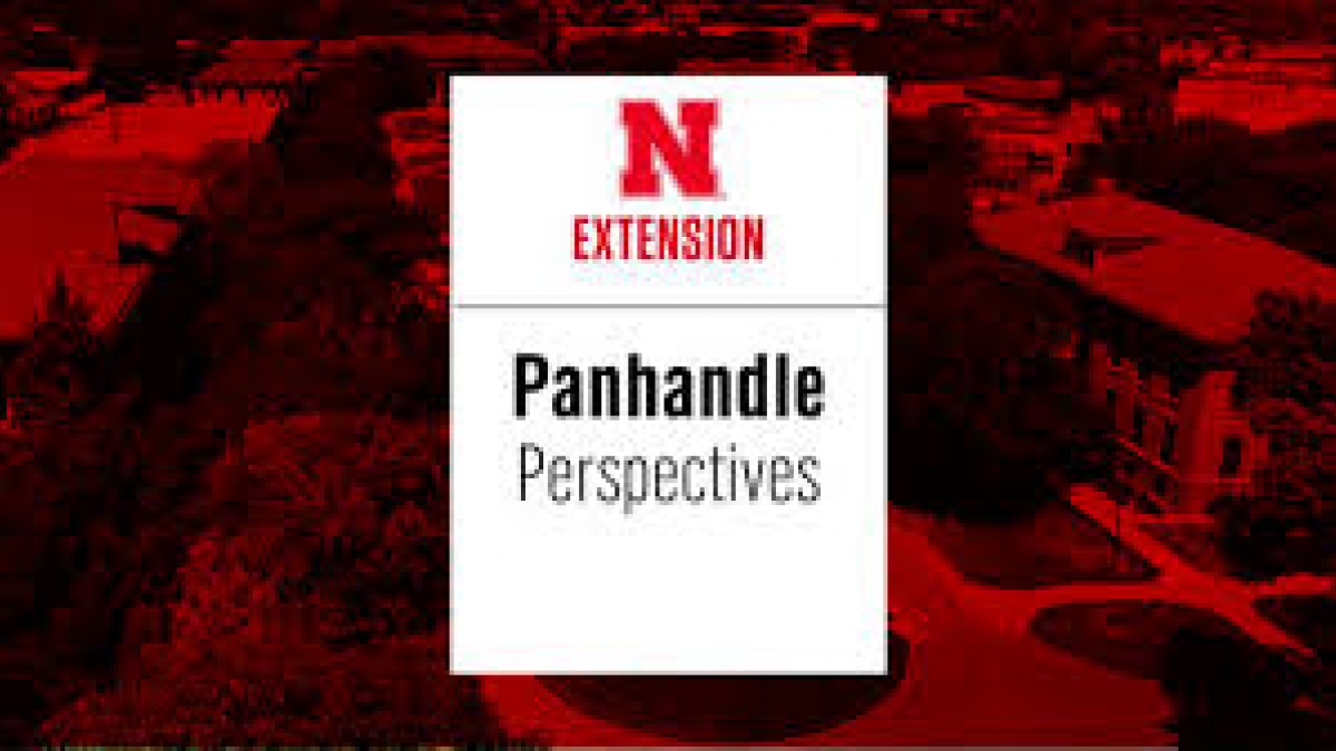 Options for new or renewal pesticide applicator licenses in the Panhandle