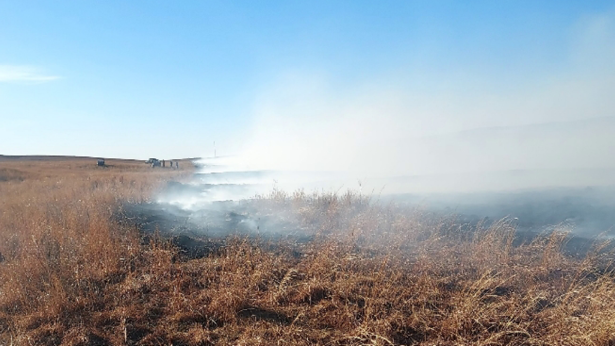 Resources available for producers affected by central Nebraska wildfires